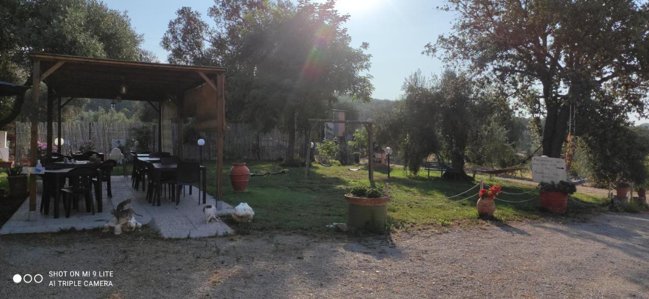 Agriturismo Poggio All'Olivo Follonica Bagian luar foto