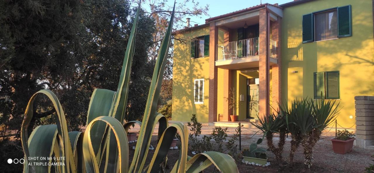 Agriturismo Poggio All'Olivo Follonica Bagian luar foto