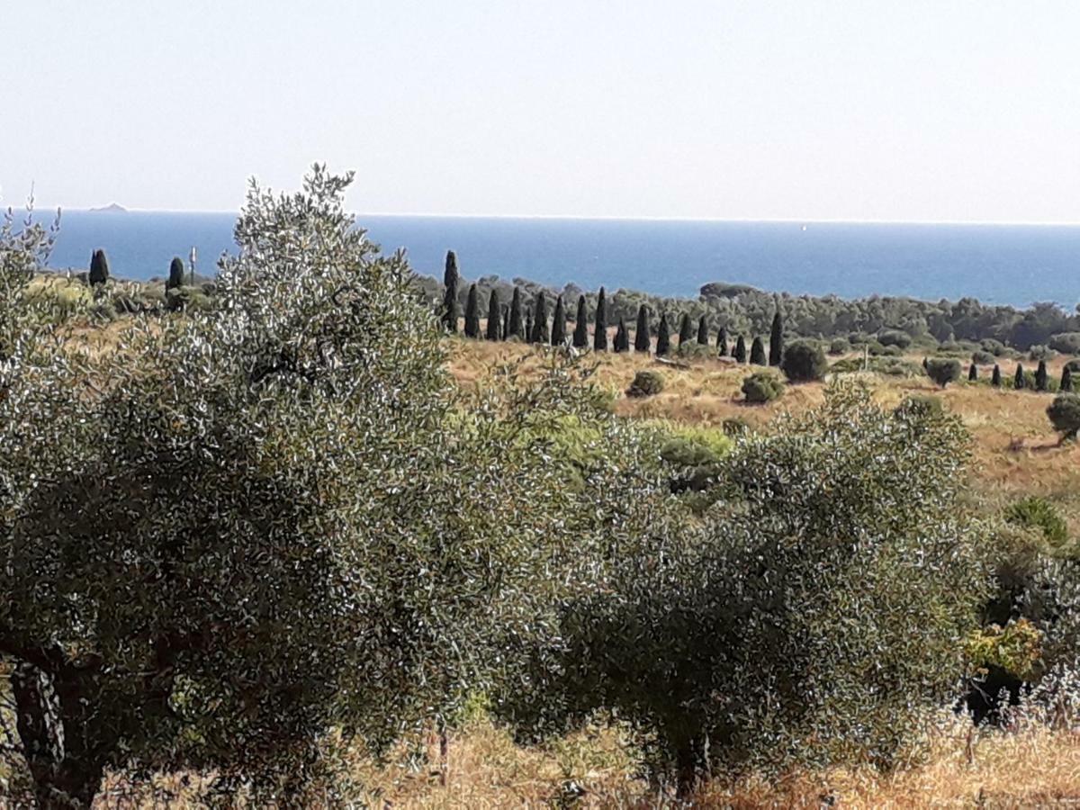 Agriturismo Poggio All'Olivo Follonica Bagian luar foto