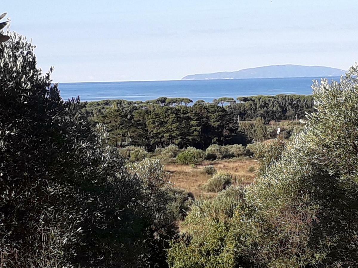 Agriturismo Poggio All'Olivo Follonica Bagian luar foto